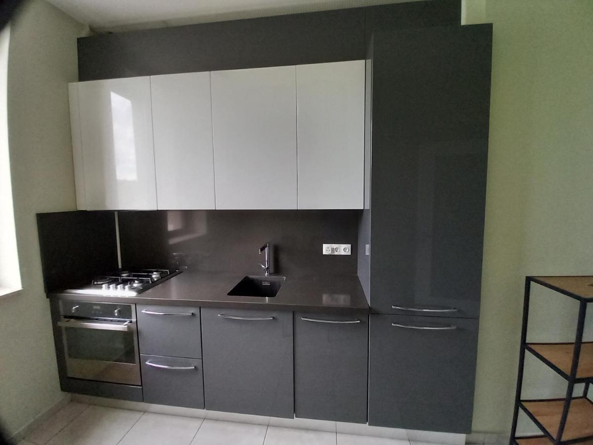 Herastrau Apartment Букурещ Екстериор снимка